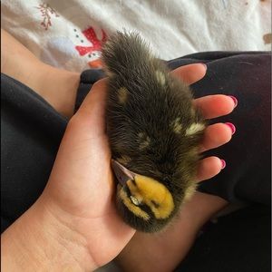 Meet your Posher, Olivia